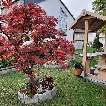 Gaestehaus Guter Stern Bad Steben Exteriör bild